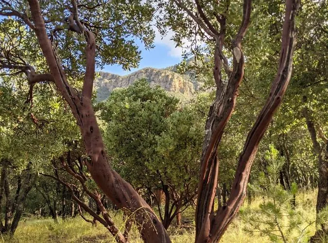 Ramsey Canyon Cabins Holiday home