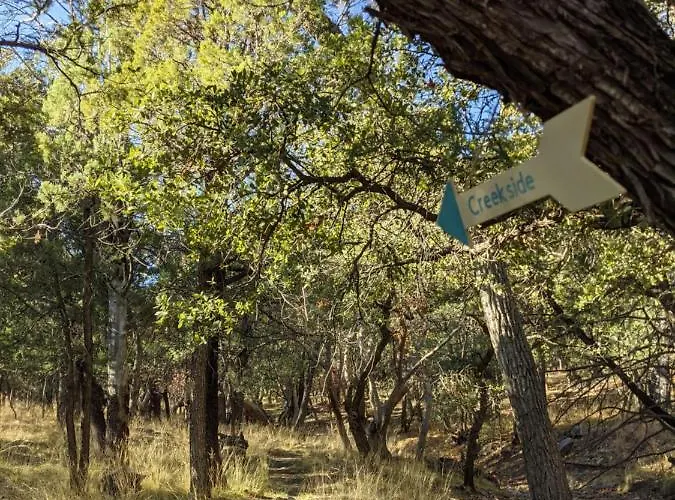 Ramsey Canyon Cabins