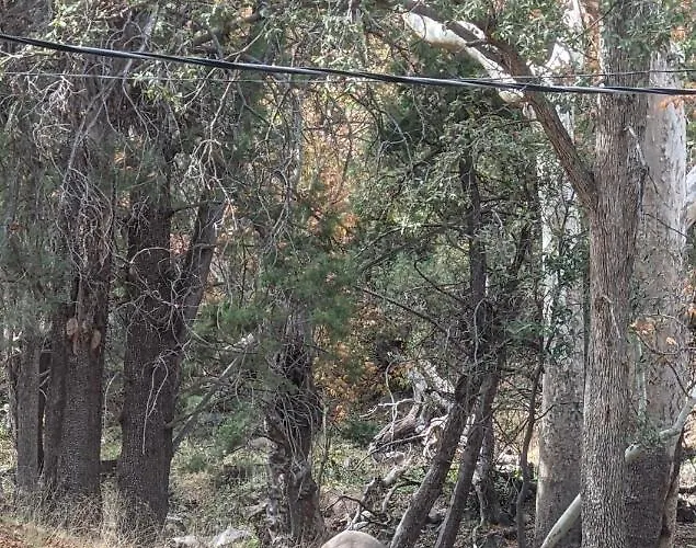 Ramsey Canyon Cabins Holiday home Nicksville